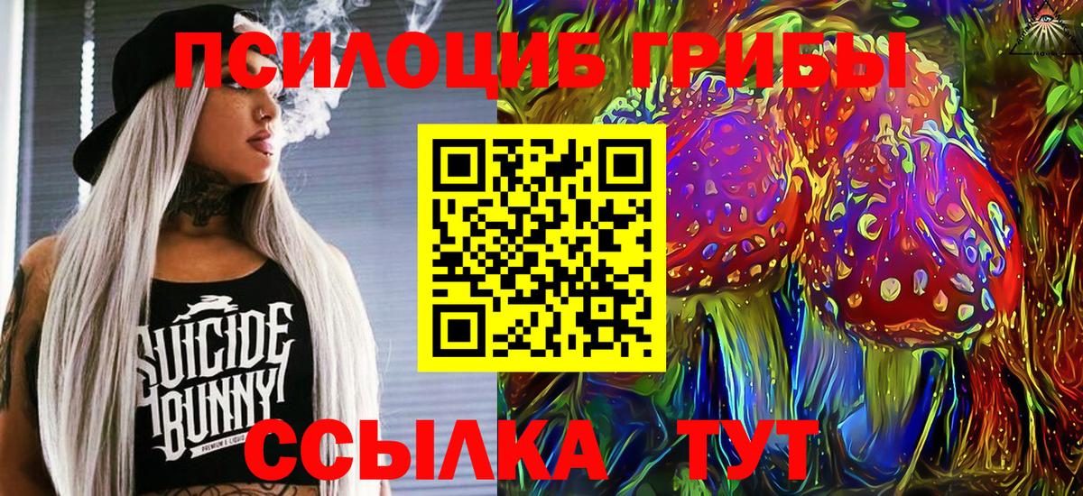 Галлюциногенные грибы прущие грибы  Псилоцибиновые грибы мицелий  Иваново  закладка  Вход с VPN 